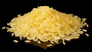 Golden Rice